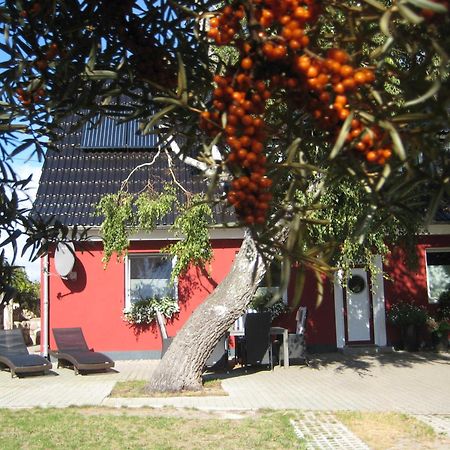 Ferienwohnung Am Meer Markgrafenheide Exterior foto